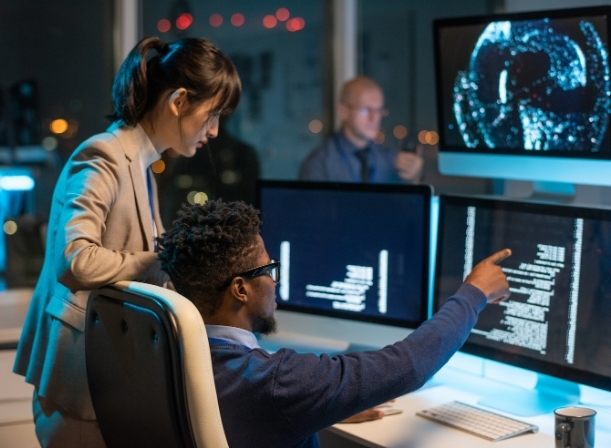 Integrated Security System